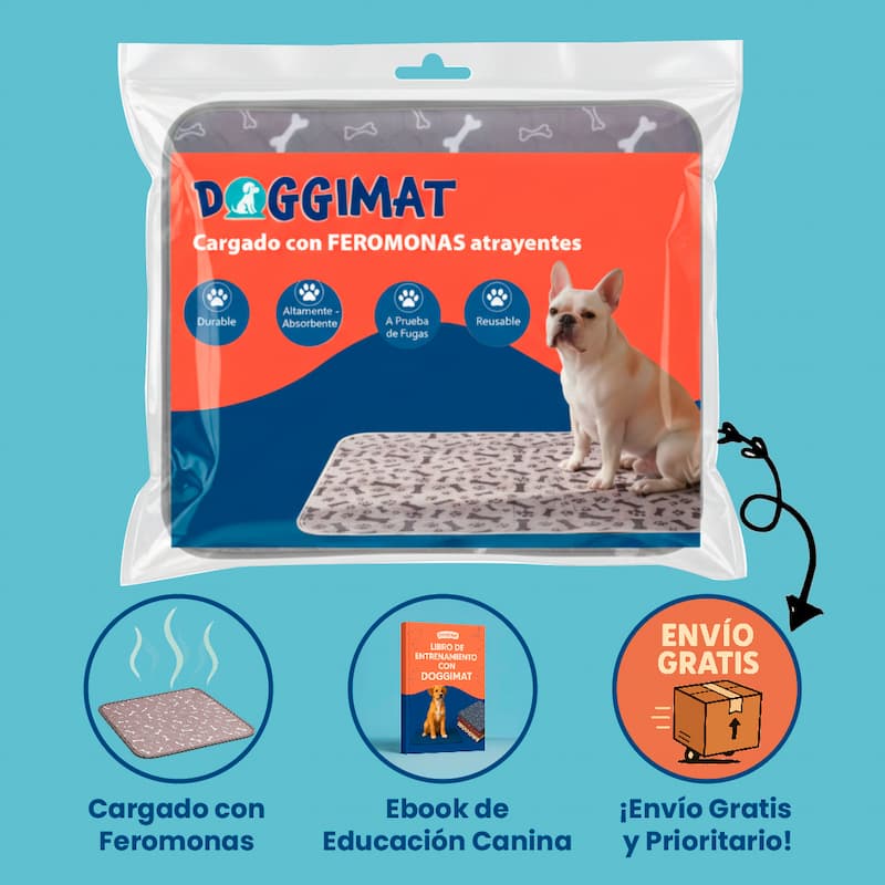 DoggiMat™ – Piso seco, sin olor, menos gasto