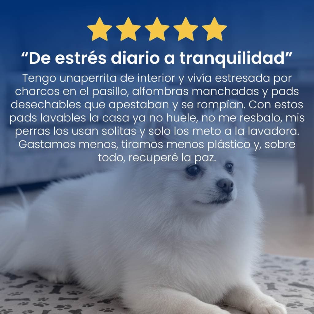 DoggiMat™ – Piso seco, sin olor, menos gasto